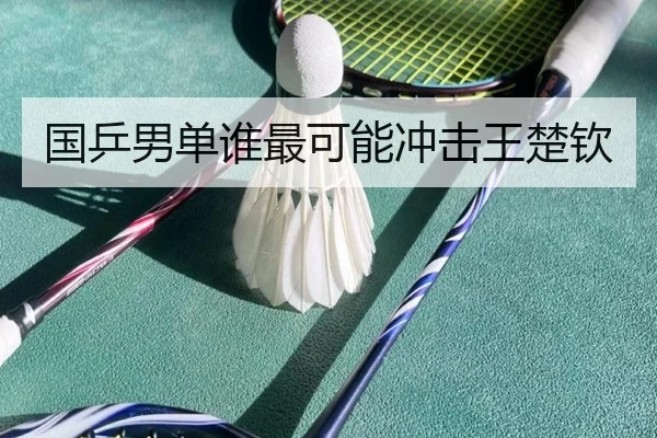 国乒男单谁最可能冲击王楚钦